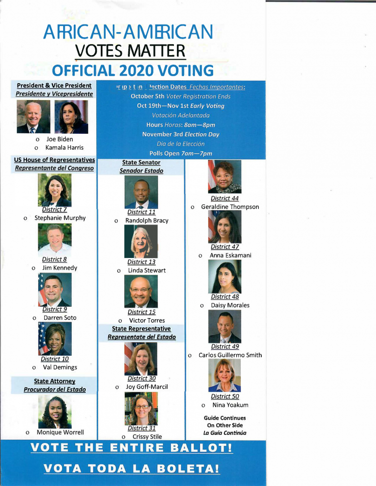 Orange County Democratic Voting Guide 1 Stono Institute